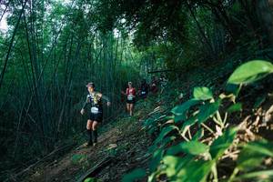 BIB: 
                            <button type="button" onclick="openModal(28124429)" class="btn btn-primary btn-sm float-right btn-popup" data-toggle="modal" data-target=".modal-high-quality">
                        <i class="fas fa-shopping-cart"></i> Add to Cart
                    </button>
                                            <button type="button" onclick="isThisMe(28124429, true)" class="btn btn-success btn-sm float-right btn-popup btn-isme hidden" data-toggle="tooltip" data-placement="bottom" title="นี่คือรูปของคุณใช่ไหม คลิกที่นี่เพื่อเอาเข้าอัลบั้ม">
                        <i class="fas fa-plus"></i> Add to album
                    </button>
                    <button type="button" onclick="isThisMe(28124429, false)" class="btn btn-warning btn-sm float-right btn-popup btn-isnotme hidden">
                        <i class="fas fa-ban"></i> Remove from album
                    </button>